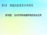 新教材2024版高中生物第5章细胞的能量供应和利用微专题2光合作用和细胞呼吸的综合应用课件新人教版必修1