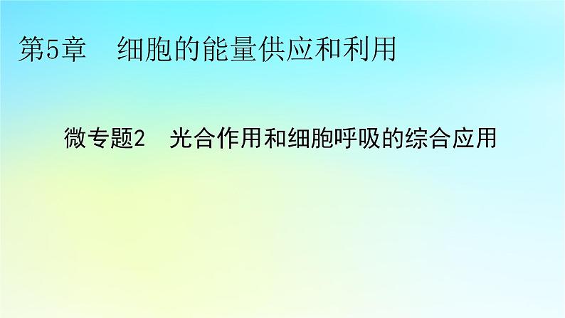 新教材2024版高中生物第5章细胞的能量供应和利用微专题2光合作用和细胞呼吸的综合应用课件新人教版必修101