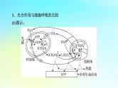 新教材2024版高中生物第5章细胞的能量供应和利用微专题2光合作用和细胞呼吸的综合应用课件新人教版必修1