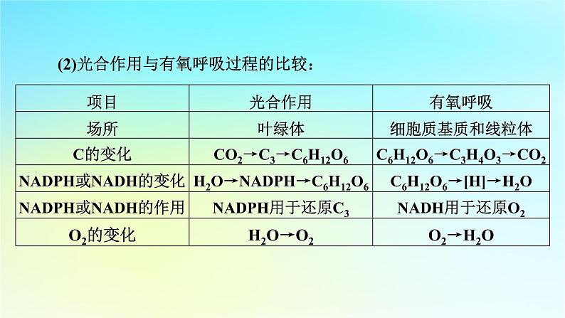 新教材2024版高中生物第5章细胞的能量供应和利用微专题2光合作用和细胞呼吸的综合应用课件新人教版必修103