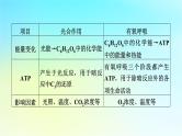 新教材2024版高中生物第5章细胞的能量供应和利用微专题2光合作用和细胞呼吸的综合应用课件新人教版必修1