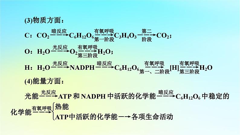 新教材2024版高中生物第5章细胞的能量供应和利用微专题2光合作用和细胞呼吸的综合应用课件新人教版必修105