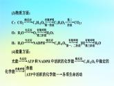 新教材2024版高中生物第5章细胞的能量供应和利用微专题2光合作用和细胞呼吸的综合应用课件新人教版必修1