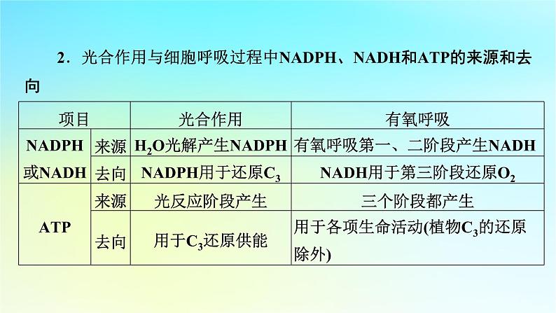 新教材2024版高中生物第5章细胞的能量供应和利用微专题2光合作用和细胞呼吸的综合应用课件新人教版必修106