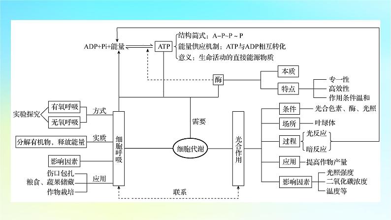 新教材2024版高中生物第5章细胞的能量供应和利用章末总结课件新人教版必修103