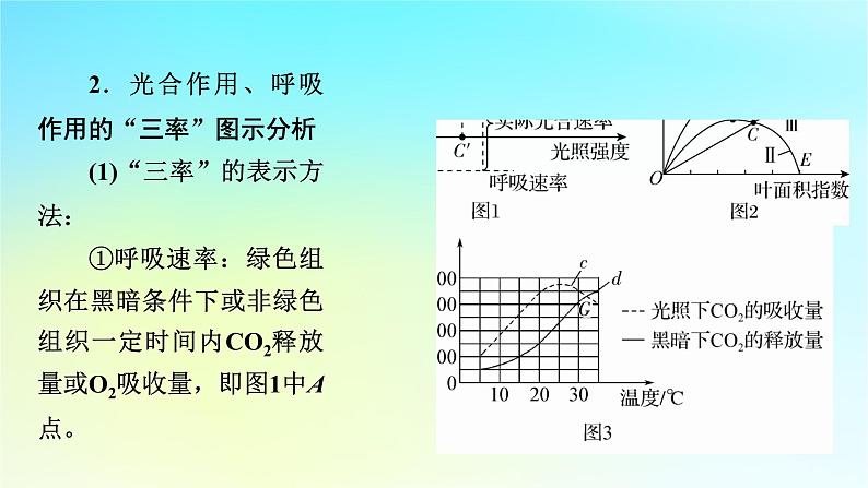 新教材2024版高中生物第5章细胞的能量供应和利用章末总结课件新人教版必修108