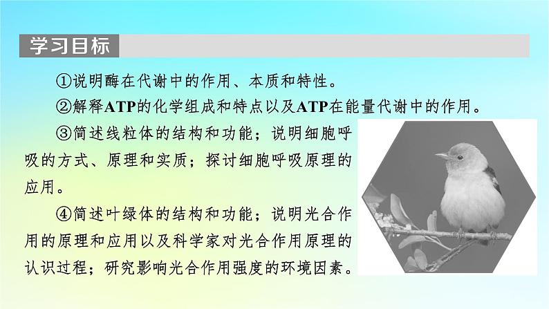新教材2024版高中生物第5章细胞的能量供应和利用第1节降低化学反应活化能的酶课件新人教版必修1第2页