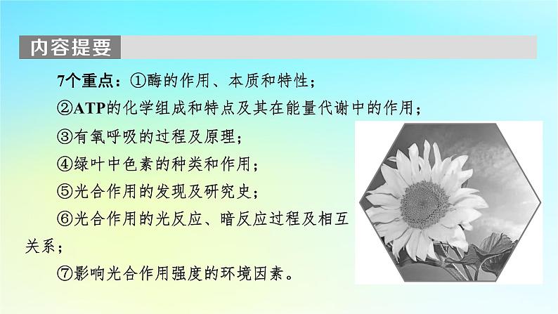 新教材2024版高中生物第5章细胞的能量供应和利用第1节降低化学反应活化能的酶课件新人教版必修1第3页