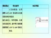新教材2024版高中生物第5章细胞的能量供应和利用第2节细胞的能量“货币”ATP课件新人教版必修1