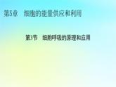 新教材2024版高中生物第5章细胞的能量供应和利用第3节细胞呼吸的原理和应用课件新人教版必修1