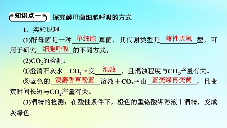 新教材2024版高中生物第5章细胞的能量供应和利用第3节细胞呼吸的原理和应用课件新人教版必修1第5页