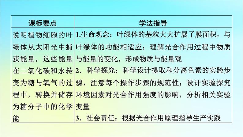 新教材2024版高中生物第5章细胞的能量供应和利用第4节光合作用与能量转化课件新人教版必修1第2页