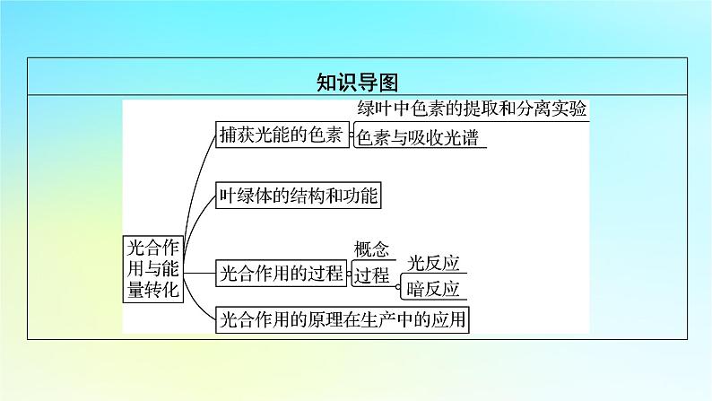 新教材2024版高中生物第5章细胞的能量供应和利用第4节光合作用与能量转化课件新人教版必修1第3页