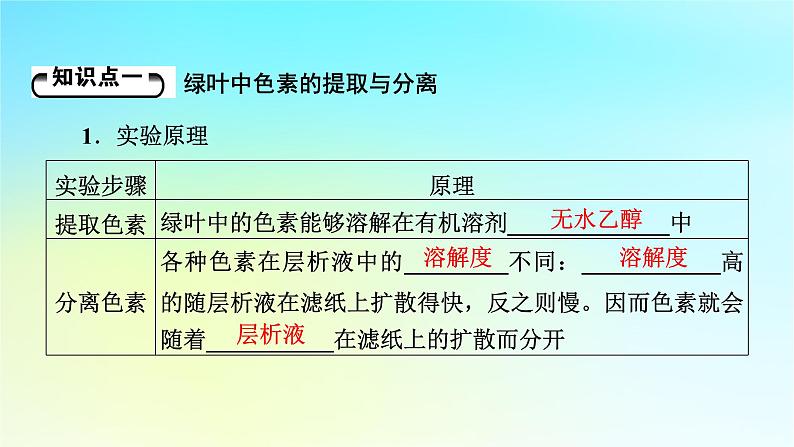 新教材2024版高中生物第5章细胞的能量供应和利用第4节光合作用与能量转化课件新人教版必修1第5页