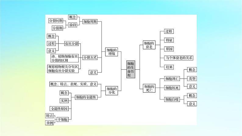 新教材2024版高中生物第6章细胞的生命历程章末总结课件新人教版必修103