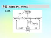 新教材2024版高中生物第6章细胞的生命历程章末总结课件新人教版必修1