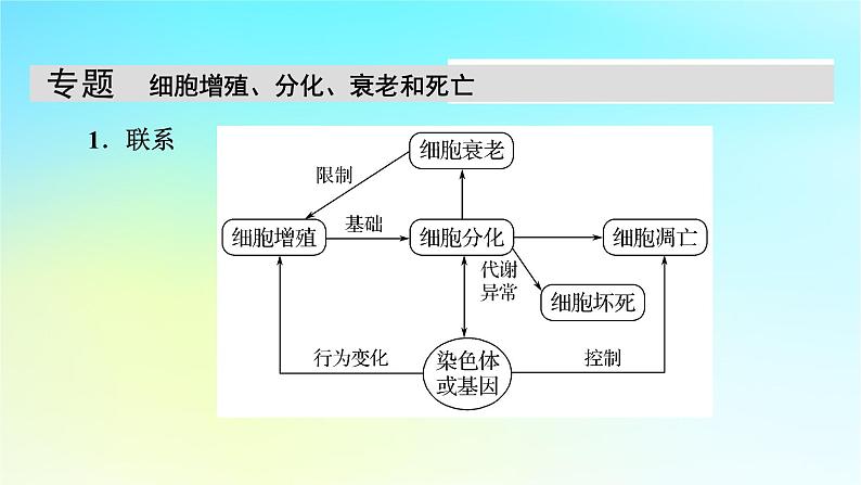 新教材2024版高中生物第6章细胞的生命历程章末总结课件新人教版必修105