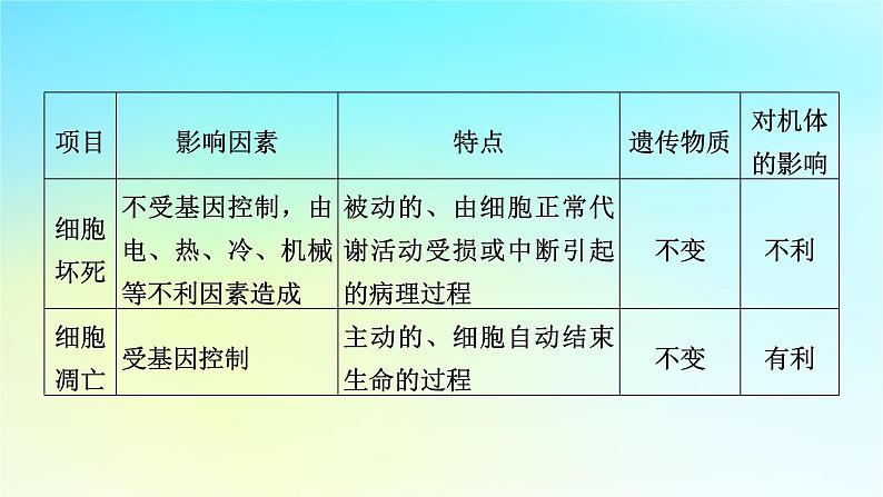 新教材2024版高中生物第6章细胞的生命历程章末总结课件新人教版必修107