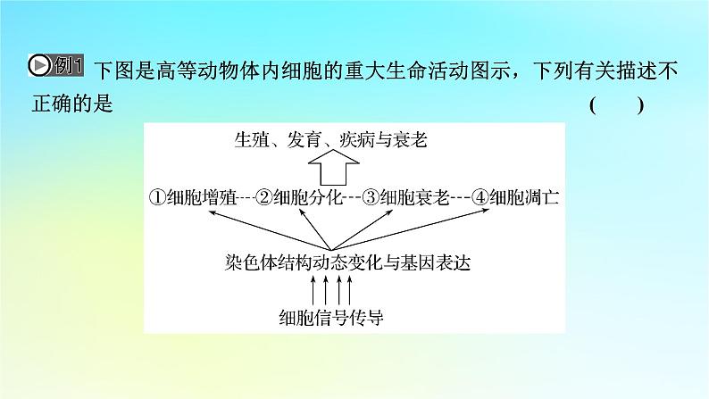 新教材2024版高中生物第6章细胞的生命历程章末总结课件新人教版必修108