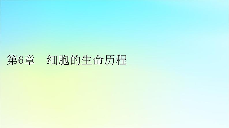 新教材2024版高中生物第6章细胞的生命历程第1节细胞的增殖课件新人教版必修1第1页