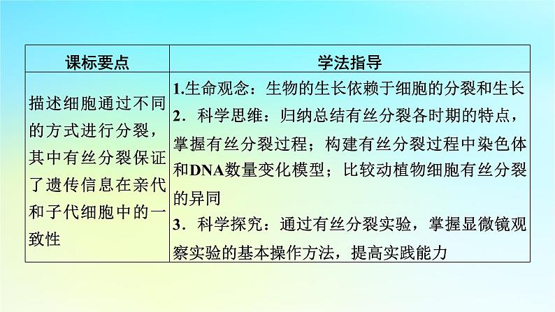 新教材2024版高中生物第6章细胞的生命历程第1节细胞的增殖课件新人教版必修1第7页