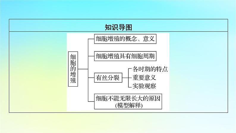 新教材2024版高中生物第6章细胞的生命历程第1节细胞的增殖课件新人教版必修1第8页