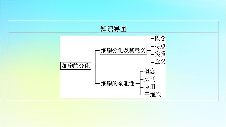 新教材2024版高中生物第6章细胞的生命历程第2节细胞的分化课件新人教版必修103