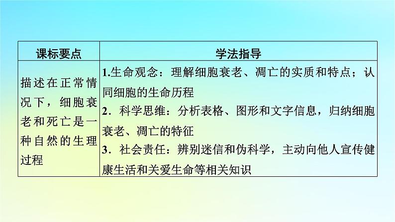 新教材2024版高中生物第6章细胞的生命历程第3节细胞的衰老和死亡课件新人教版必修1第2页