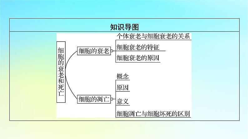 新教材2024版高中生物第6章细胞的生命历程第3节细胞的衰老和死亡课件新人教版必修1第3页