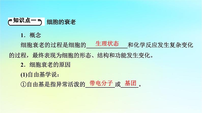 新教材2024版高中生物第6章细胞的生命历程第3节细胞的衰老和死亡课件新人教版必修1第5页