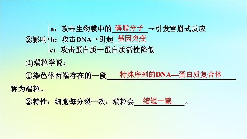 新教材2024版高中生物第6章细胞的生命历程第3节细胞的衰老和死亡课件新人教版必修1第6页