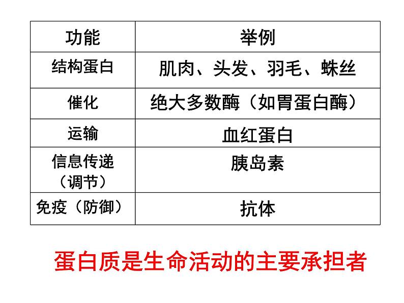 《蛋白质是生命活动的主要承担者》课件04