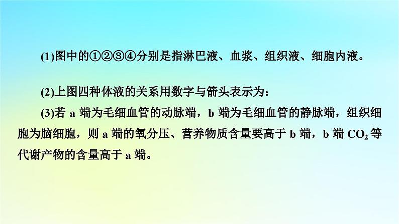 新教材2024版高中生物第1章人体的内环境与稳态章末总结课件新人教版选择性必修106