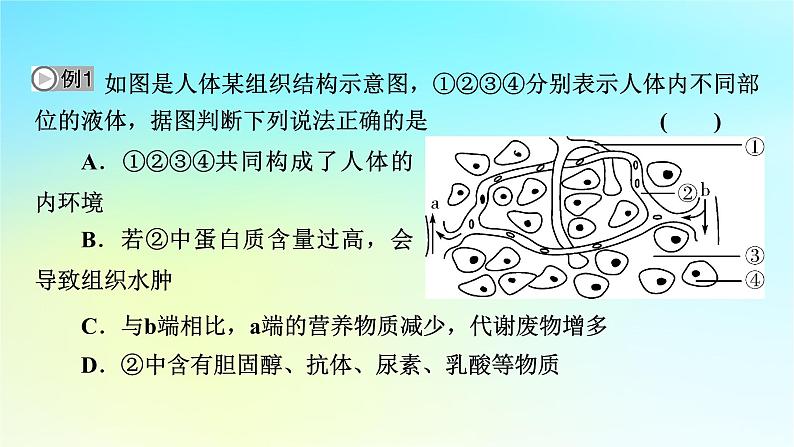 新教材2024版高中生物第1章人体的内环境与稳态章末总结课件新人教版选择性必修107