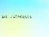 新教材2024版高中生物第1章人体的内环境与稳态第1节细胞生活的环境课件新人教版选择性必修1