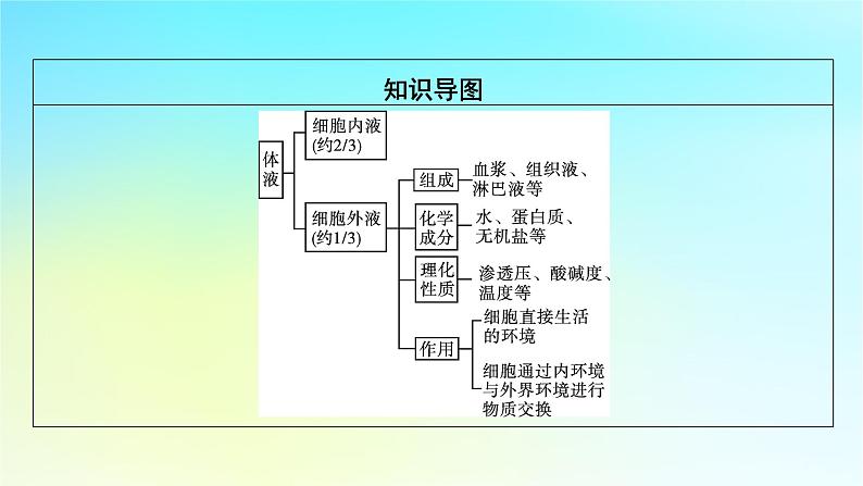 新教材2024版高中生物第1章人体的内环境与稳态第1节细胞生活的环境课件新人教版选择性必修1第8页