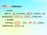 新教材2024版高中生物第1章人体的内环境与稳态第2节内环境的稳态课件新人教版选择性必修1