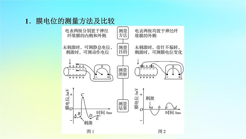 新教材2024版高中生物第2章神经调节微专题1膜电位的测量及电表指针偏转问题分析课件新人教版选择性必修102