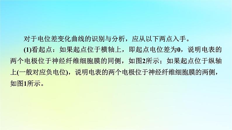 新教材2024版高中生物第2章神经调节微专题1膜电位的测量及电表指针偏转问题分析课件新人教版选择性必修103