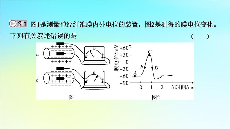 新教材2024版高中生物第2章神经调节微专题1膜电位的测量及电表指针偏转问题分析课件新人教版选择性必修105