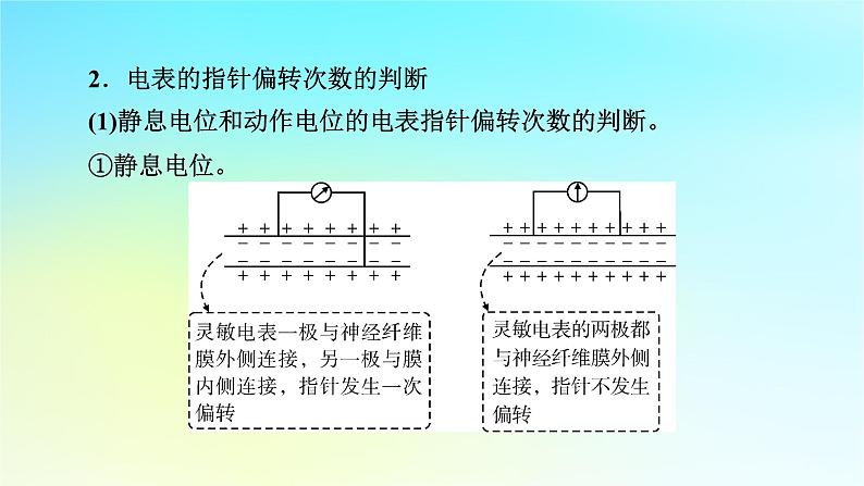 新教材2024版高中生物第2章神经调节微专题1膜电位的测量及电表指针偏转问题分析课件新人教版选择性必修108