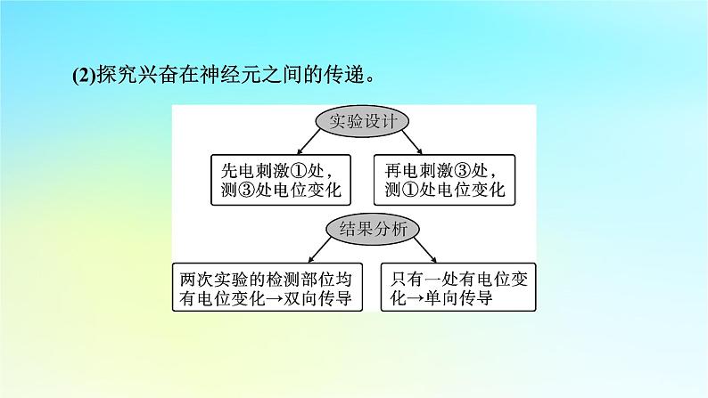 新教材2024版高中生物第2章神经调节微专题2反射弧中兴奋传导特点的实验探究课件新人教版选择性必修103