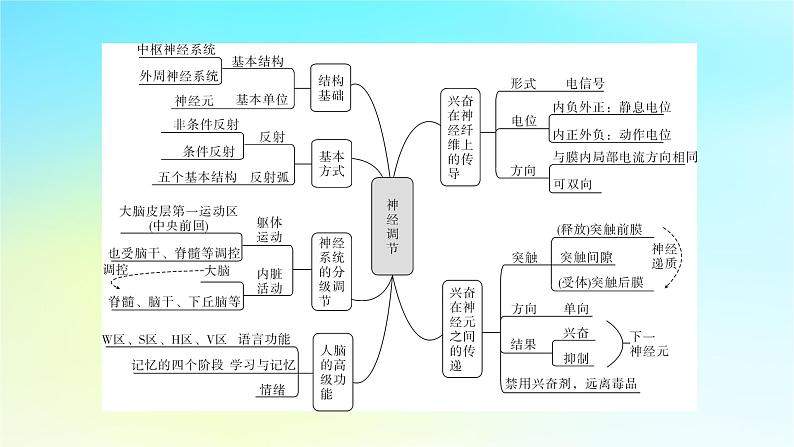 新教材2024版高中生物第2章神经调节章末总结课件新人教版选择性必修103