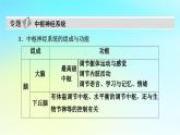 新教材2024版高中生物第2章神经调节章末总结课件新人教版选择性必修1