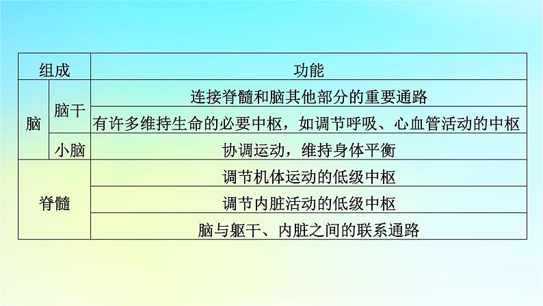 新教材2024版高中生物第2章神经调节章末总结课件新人教版选择性必修106