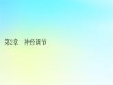 新教材2024版高中生物第2章神经调节第1节神经调节的结构基础课件新人教版选择性必修1