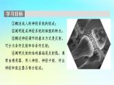 新教材2024版高中生物第2章神经调节第1节神经调节的结构基础课件新人教版选择性必修1