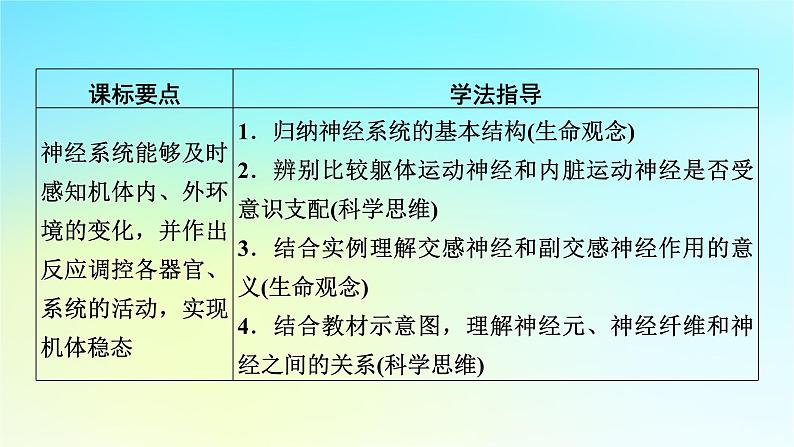 新教材2024版高中生物第2章神经调节第1节神经调节的结构基础课件新人教版选择性必修107