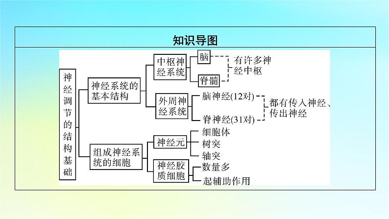 新教材2024版高中生物第2章神经调节第1节神经调节的结构基础课件新人教版选择性必修108