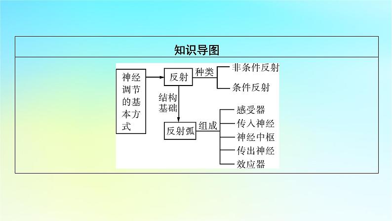 新教材2024版高中生物第2章神经调节第2节神经调节的基本方式课件新人教版选择性必修103